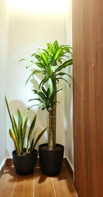 Mahkota Crown Haven Apartment, Near A'farmosa & Jonker Apartment Malacca